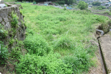 田んぼ・畑など農地を含む不動産に関するご相談